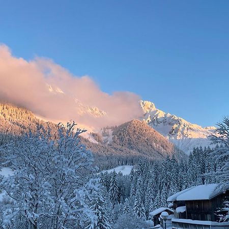 Loft Kraemerhaus Annaberg, Dachstein West Eksteriør billede