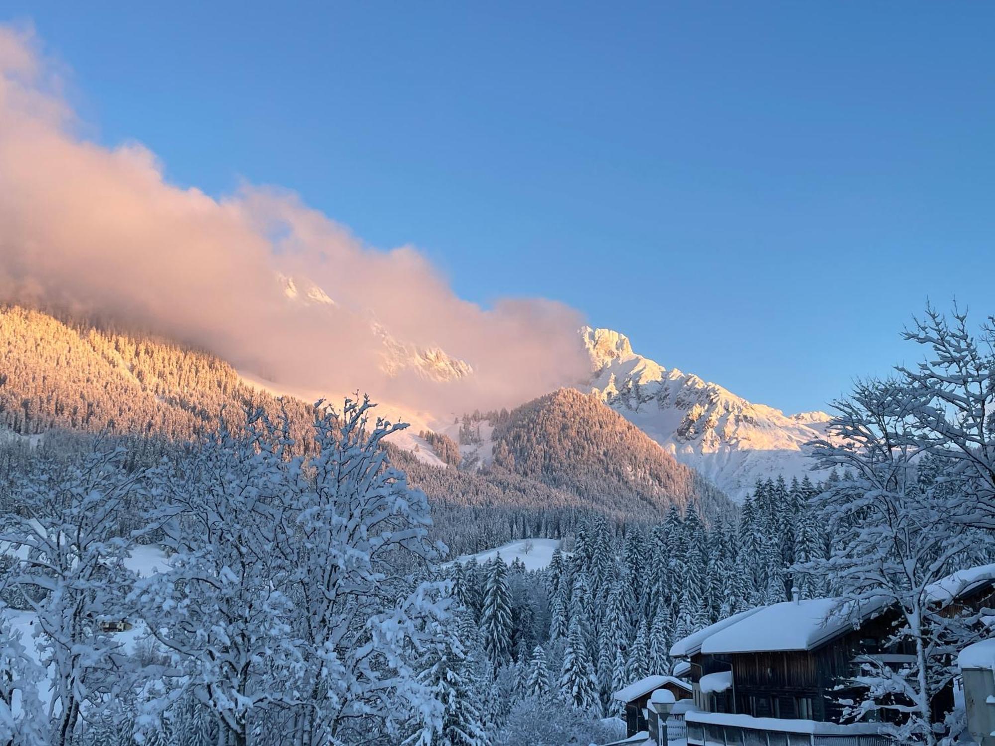 Loft Kraemerhaus Annaberg, Dachstein West Eksteriør billede